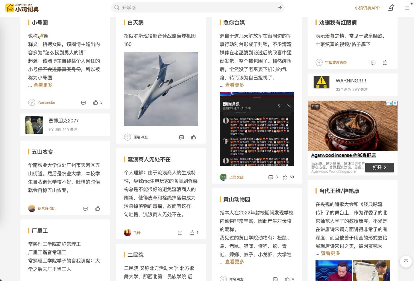 小鸡词典