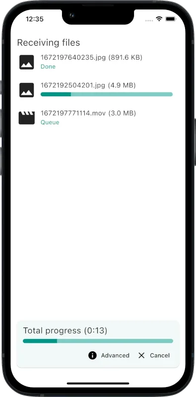LocalSend 官方 iPhone 接收界面,显示照片和视频的传输状态