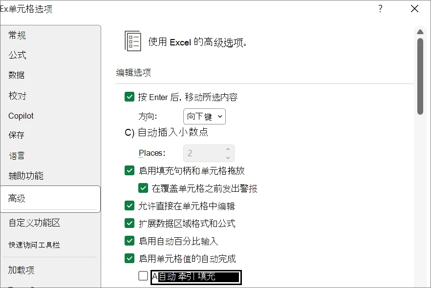 Excel 文件选项高级页中的自动快速填充复选框